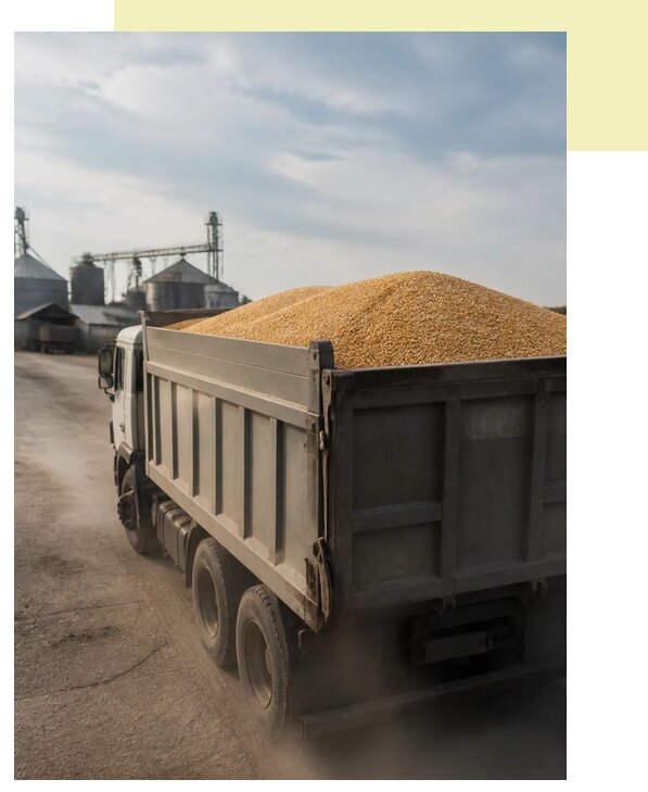 Перевозка сельхозпродукции навалом в Нерюнгри по цене от 3258 р. | Агросервис-Нрю